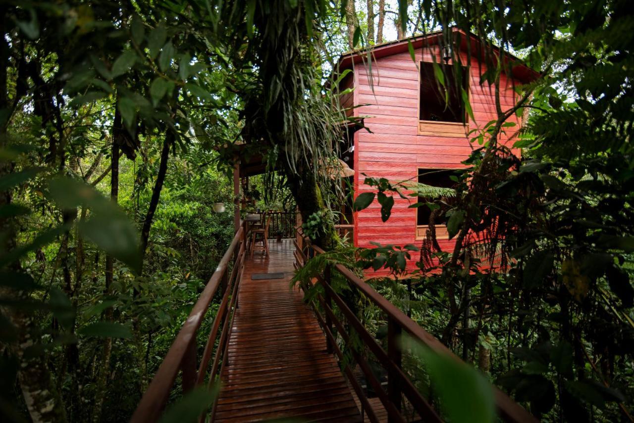 Tominejo Ecolodge - Casas En Los Arboles Neira Exteriör bild