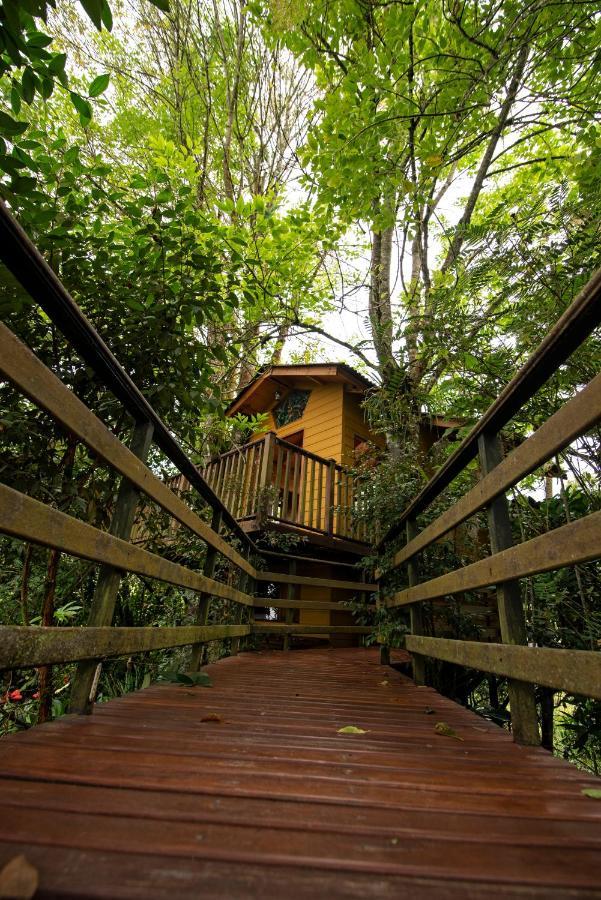 Tominejo Ecolodge - Casas En Los Arboles Neira Exteriör bild