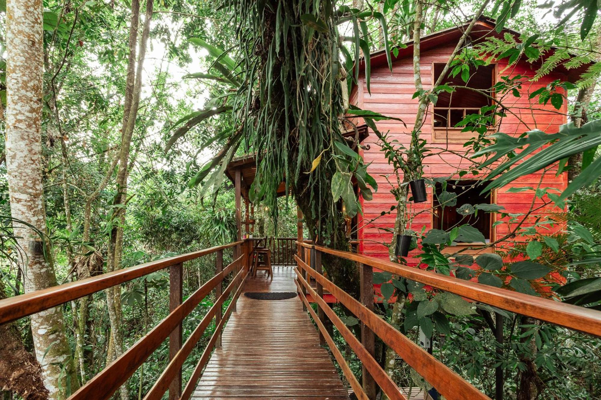 Tominejo Ecolodge - Casas En Los Arboles Neira Exteriör bild